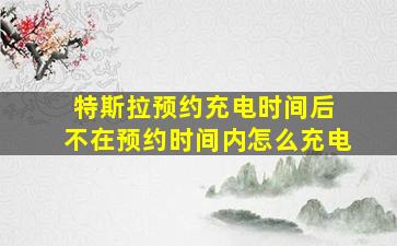 特斯拉预约充电时间后 不在预约时间内怎么充电